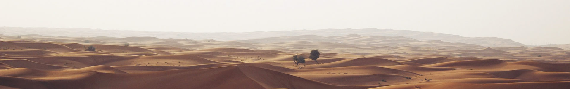 ǿذŲֳ